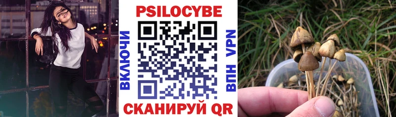 купить Гусиноозёрск Галлюциногенные грибы MAGIC MUSHROOMS
